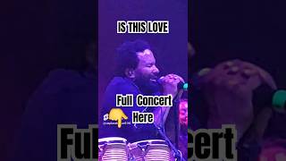 KYMANI MARLEY Is this love cb44 kymanimarley bobmarley marley reggaemusicliveportugallisboa [upl. by Irihs]