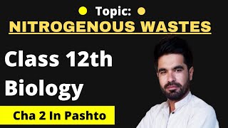 Types or forms of nitrogenous wastes  12th Biology in pashto  Home of biology [upl. by Jimmie]