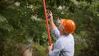 WOLFGarten  Safe tree pruning without a ladder [upl. by Nioe]