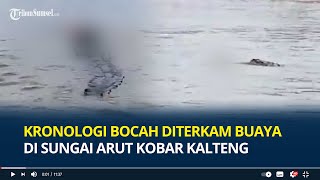 Kronologi Bocah Diterkam Buaya di Sungai Arut Kobar Kalteng Tubuh Korban Diseret Masuk Sungai [upl. by Esele418]