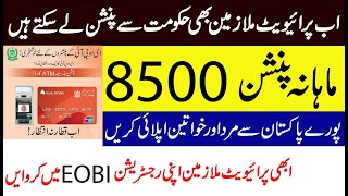 Employees Old Age Benefits Institution  EOBI  Comlete Details in Urdu [upl. by Airdnalahs678]