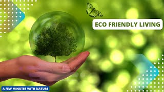 Simple Changes for a Sustainable Future  Eco friendly living [upl. by Erdnaed]