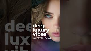 Deep Luxury Vibes Midnight Hours House deephouse deephousemix2024 msolrecords chillhouse [upl. by Selegna235]