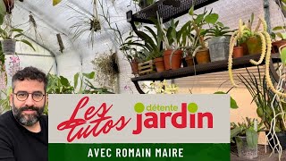 Comment polliniser une orchidée [upl. by Ahsar]