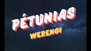 Werenoi  Pétunias ParolesLyrics [upl. by Nyllek]