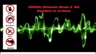 Ultrasonic Mouse and Rat Repellent 12 Hours  20000Hz  No ads [upl. by Ayaladnot173]