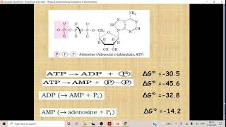 High and Low energy compounds [upl. by Nyrok462]