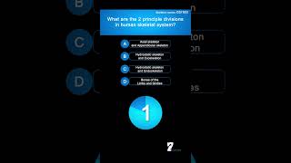 What are the 2 principle divisions in human skeletal system quiz [upl. by Adlee]