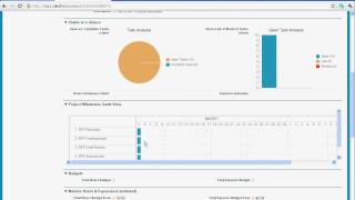 Salesforcecom RFP Process and Milestones PM App [upl. by Ahseinek]