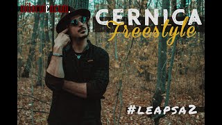 viitorulëacum  Cernica Freestyle Leapsa2 [upl. by Dix]