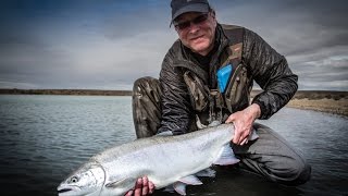 Santa Cruz Steelhead in Argentina [upl. by Undry]