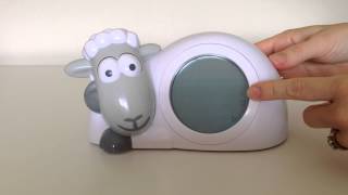 Video 5  Setting Sam the Sheep for Naptime [upl. by Teteak]