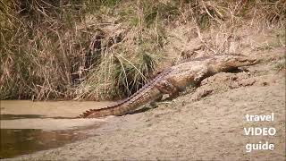 Bardiya National Park  Vacation Travel Video Guide [upl. by Eran913]