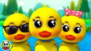 Cinq Petits Canards et Comptines Préscolaires pour Enfants par Baby Bao Panda [upl. by Enihpad]