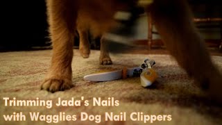 Trimming your Dogs Nails with Wagglies Dog Nail Clippers Sponsored [upl. by Nos152]