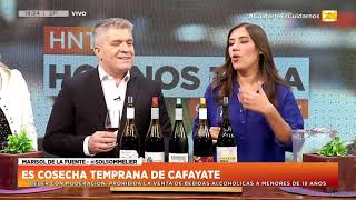 Hoy nos toca vinos de maceración carbónica  Marisol De La Fuente  HNT 17 [upl. by Tudor]