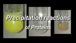 Precipitation Reactions of Proteins  Biochemistry [upl. by Kerstin]