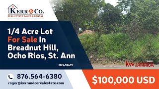 ¼ Acre Lot For Sale In Breadnut Hill Ocho Rios [upl. by Artenek]