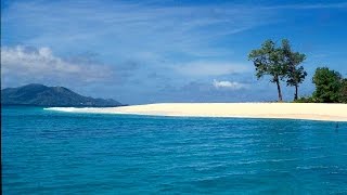 Cousin island seychelles [upl. by Noli386]