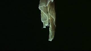 Whats the difference between stalactites and stalagmites [upl. by Ferro476]