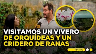 Nuestra TierraTarapoto Conocemos las variedades y cuidados de las orquídeas [upl. by Darci]