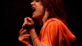 CAMILLE Live au ZÉNITH Paris 2008 Full Concert [upl. by Niledam]