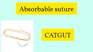 Absorbable Suture CATGUT [upl. by Nahsar]