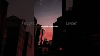 BarkingRamz lyrics Edit  Audio  Sped Up  Slowed Trending youtubeshorts youtube subscribe [upl. by Pisano]