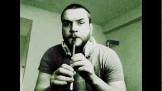 Tin Whistle  quotConcerning Hobbitsquot Lord of the Rings soundtrack [upl. by Hardigg]