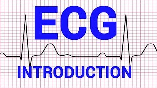 01 ECG  INTRODUCTION  CARDIOVASCULAR PHYSIOLOGY [upl. by Lattie]