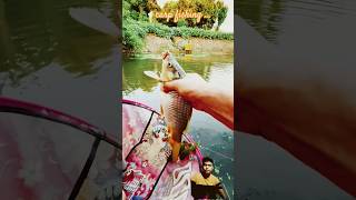 Carp fishing catch by Fishing hookfishingcarpfishing [upl. by Monie394]