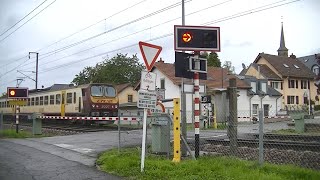 Spoorwegovergang Mersch L  Railroad crossing  Passage à niveau [upl. by Fein570]