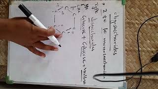 oligosaccharides  carbohydrates classificationtypes of oligosaccharidescharacters [upl. by Nicky]