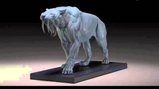 Smilodon Anatomy Model with Mouth  Opened Head by Juns Anatomy [upl. by Nomrah]