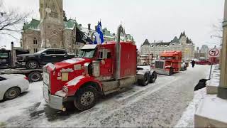 Freedom Truckers Convoy 2022 Live Feb 4 In Ottawa [upl. by Hessney]