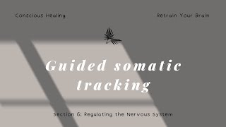 Guided Somatic Tracking for Chronic Dizziness [upl. by Anma174]