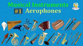 Aerophones 26 Musical Instruments with Pictures amp Sounds  Ethnographic Classification viral [upl. by Ahseekan]