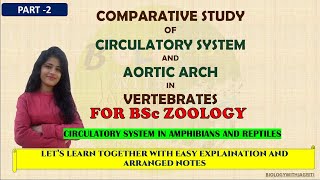 CIRCULATORY SYSTEM AND AORTIC ARCH IN AMPHIBIANS AND REPTILES BSc ZOOLOGY PART2 BIOLOGYWITHJAGRITI [upl. by Andromede]