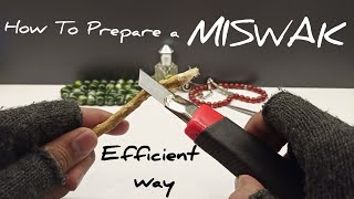 Miswak Stick Review  How to use [upl. by Timothee]