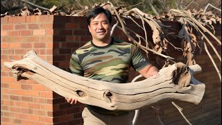 💡Talented Woodworker Using a Uniquely Curved Branch to Create a Striking Focal Point for the Table [upl. by Nodlew]