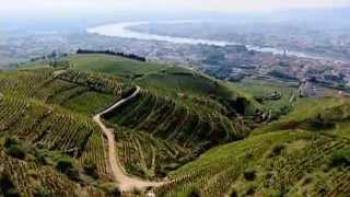 Discover The Wines of the Rhone Valley Part 1 of 3 [upl. by Toback295]