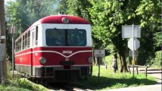 20110719 SchafbergBahn Passenger cars  Steam cog locomotive Z 12 amp Diesel cog railcar VTZ 22 [upl. by Doelling]