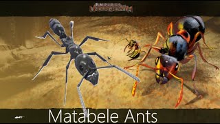 Empires Of The Undergrowth Matabele Ants [upl. by Elleoj136]