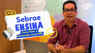 SebraeEnsina Como fazer sua Declaração Anual do Simples Nacional [upl. by Gabor]