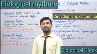 173 Biological Rhythms  Biological Clock  Circadian Rhythms  Circannual Rhythms  12 Class [upl. by Enajyram305]