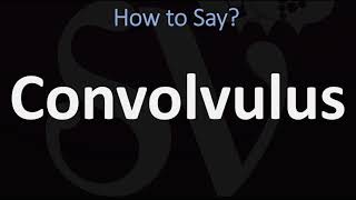 How to Pronounce Convolvulus CORRECTLY [upl. by Afaw938]