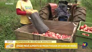 EPAGRI prevê aumento na produtividade da safra de verão 20242025 [upl. by Nirroc]