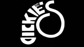 The Dickies  Live in Winnipeg 1983 Full Concert [upl. by Ibot]