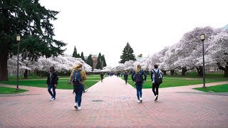 Why You Should Go to the University of Washington [upl. by Enelehs691]