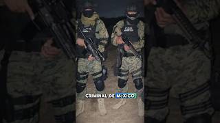 CARTEL DEL NORESTE SUCESORES DE LOS ZETAS🇲🇽☠️ shorts mexico military narcos facts [upl. by Oatis]